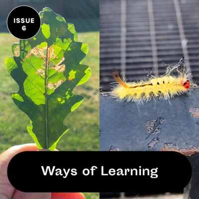 Ways of Learning